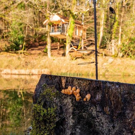 Finest Retreats - The Tree House - Eco-Friendly, Back To Nature Experience Germansweek 외부 사진